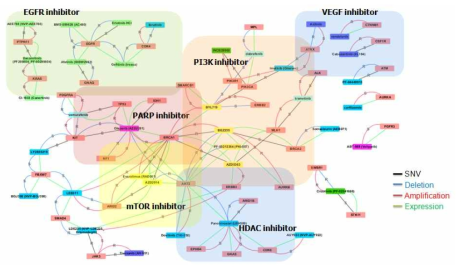 교모세포종 환자유래세포의 유전체-약물반응 네트워크