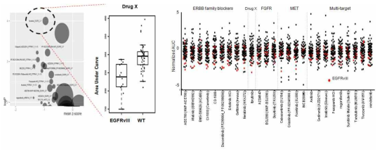 Volcano plot에 의한 새로운 유전자 변이-약물 반응 상관관계 발굴 (좌) 및 EGFRvIII와 상관관계 타 RTK 억제제들과 비교 분석