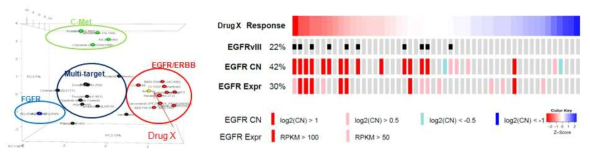 교모세포종 환자세포의 표적항암제 반응성 PCA분석 (좌) 및 Drug X 감수성과 EGFR 변이 상관관계 분석