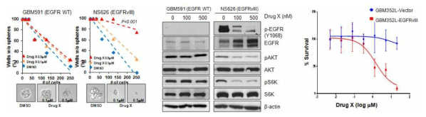 EGFR WT 및 vIII 변이 세포의 Drug X 효과 비교를 위한 LDA (좌), Western blot을 통한 Drug X의 EGFR 하위신호계 억제 확인 (중) 및 lenti virus를 이용한 EGFRvIII 과발현 후 Drug X 감수성 확인 (우)