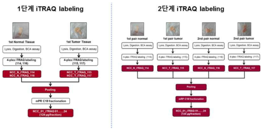 시료별 4-plex iTRAQ 표지 방법