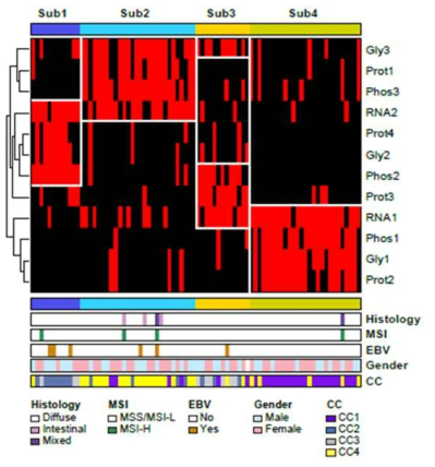 유전체-단백체 통합분석으로 예측된 조기발병위암의 아형