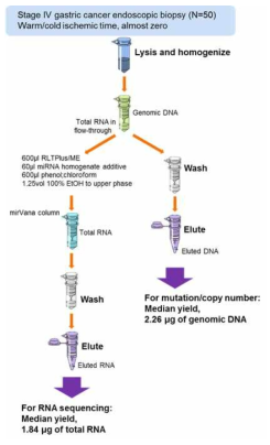 위암 조직의 유전체 데이터 생성