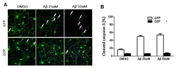 DZP에 의한 아밀로이드베타 처치 후 신경세포 사멸분석