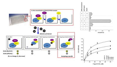 자가포식 특이적 억제제 발굴을 위한 High-throughput assay system 개발