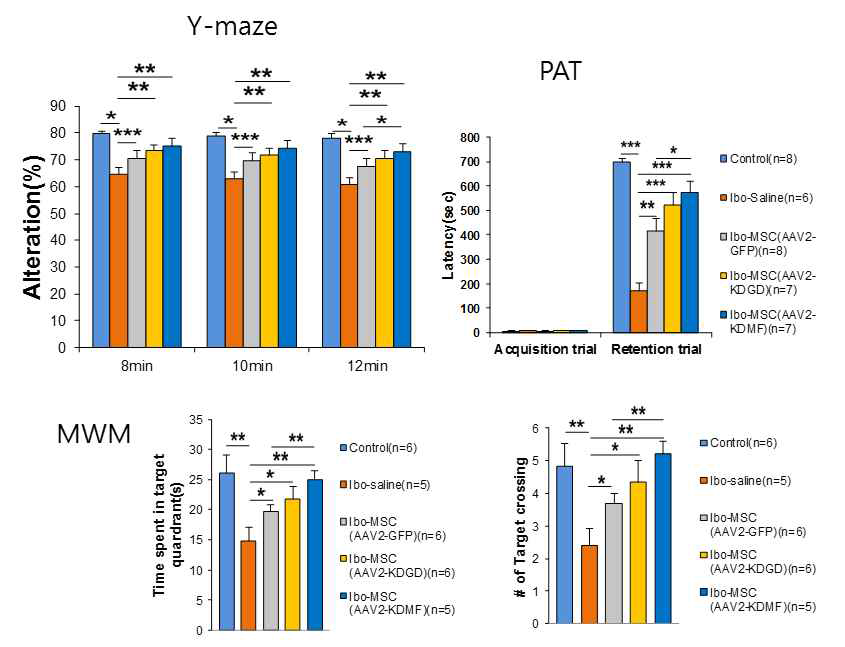 MSC_GFP-AAV, MSC_KDGD-AAV, MSC_KDMA-AAV 이식군에서 기억 능력 행동검사