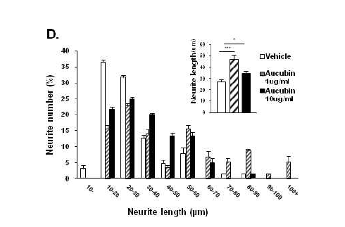 ACB은 신경줄기세포 배양시 NeuN+cells, MAP2+cells의 신경세포 Neurite 평균 길이 성장을 증진하여 신경재생을 촉진함