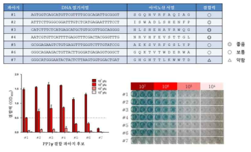 Phage display 선별 및 ELISA 결과