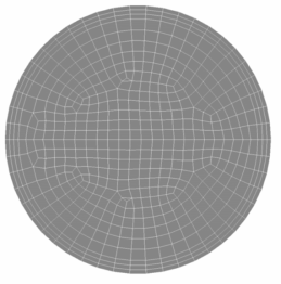 Wang 원형관 단면 격자(총 격자수=144,500)