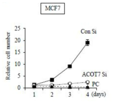 MCF-7 세포에서 ACOT7 유전자 발현 억제에 의한 세포 수 감소