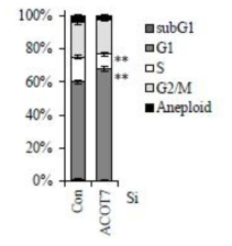 ACOT7 유전자 발현 억제로 인한 세포주기 정지가 유도됨을 확인 (a) ACOT7 유전자 발현 억제 후 FACS를 이용하여 세포주기 측정 (b) BrdU assay 를 통한 DNA 합성 (c) 세포주기 조절인자 발현을 조사함