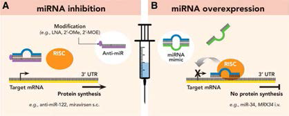 miRNA를 이용한 질병 치료 개념도 (출처: Anesthesiology, 2016)