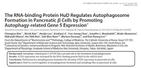 autophagy 활성 조절관련 RNAs의 발현 변화 탐색을 통한 논문 발표