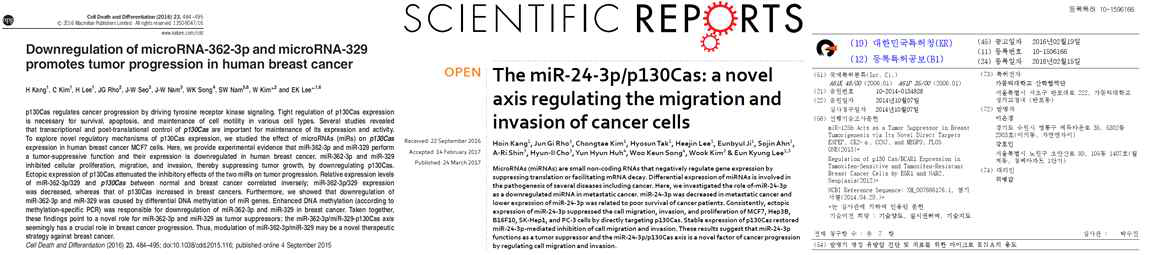 miRNA 발현 조절에 따른 암발달 억제 효과 및 분자 기전확인연구를 통해 달성한 성과물