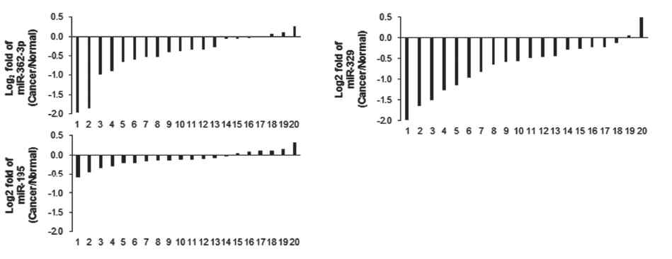 정상 및 암 조직 내에서의 miR-362-3p 와 miR-329 의 발현량에 대한 비교 분석