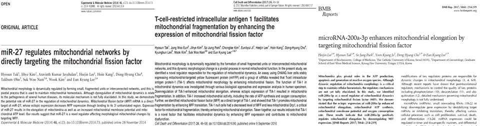 미토콘드리아 역동성 관련 RNA signature 발굴 및 분자 기전 확인에 대한 연구 성과