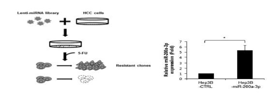 항암제 내성 miRNA 동정