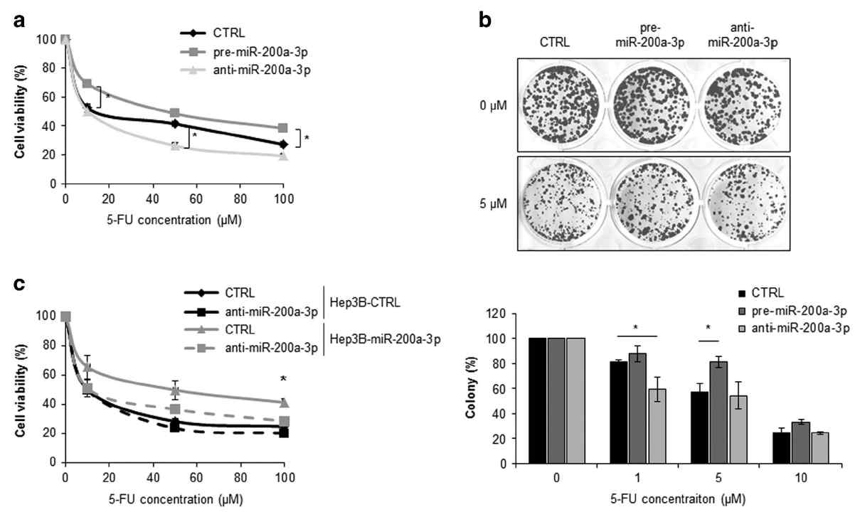 miRNA 클론의 miR-200a-3p 발현 억제시 5-FU 감수성 증가 확인