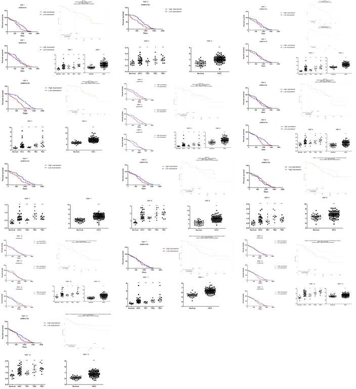 RNA 결합 단백질 발현차이에 따른 간암(HCC) 환자의 생존율 분석결과