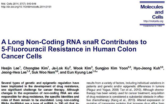 항암제 내성 관련 lncRNA 연구를 통한 성과