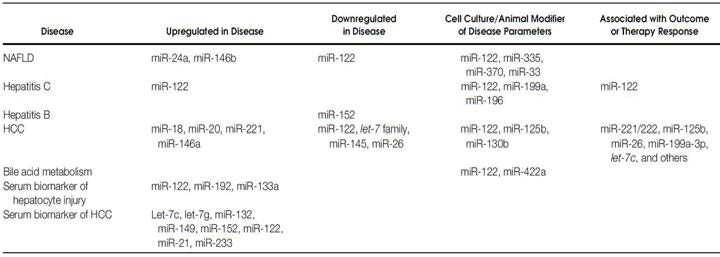 간질환에 따른 간세포 miRNA의 변화 (Kerr et al. Transl Res. 2011)