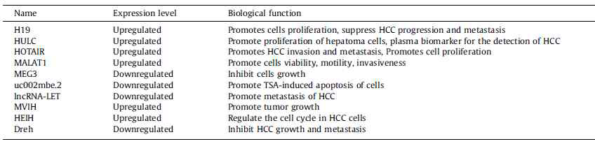 HCC 관련 lncRNA들의 발현 및 기능 (He et al. Cancer letter, 2014)