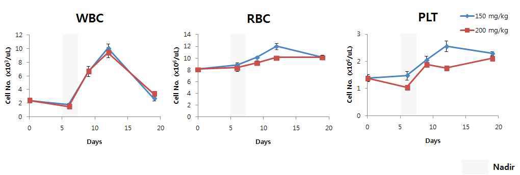 Cyclophosphamide 투여 후 혈액 세포의 변화