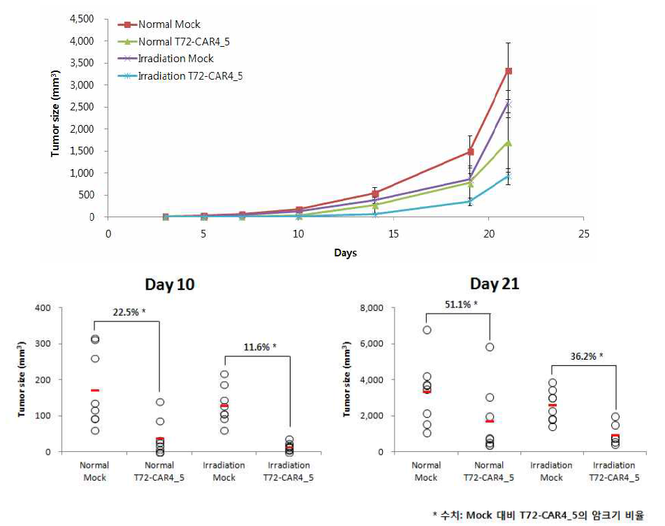 기존 실험 모델과 lymphodepletion 적용한 모델에서의 항암활성능 비교