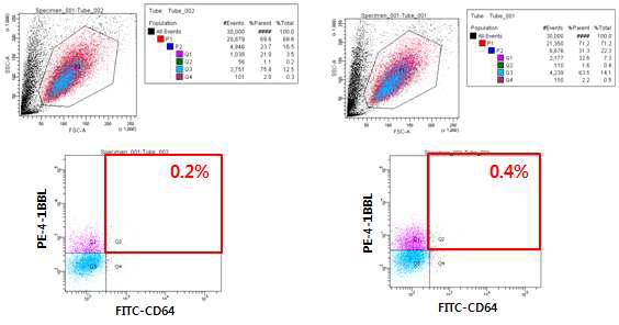 CD64, 4-1BBL 발현 K562 세포의 1차 선별 (flow cytometry)