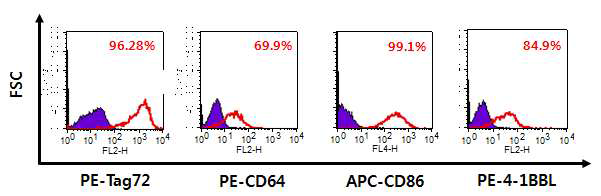 선정된 aAPC에서의 TAG-72, CD64, CD86, 4-1BBL 발현 확인