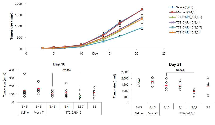 기존 실험 모델과 lymphodepletion 적용한 모델에서의 항암활성능 비교