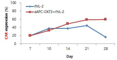 Re-stimulation 단계에서의 aAPC 효능 비교 (CAR 발현율)
