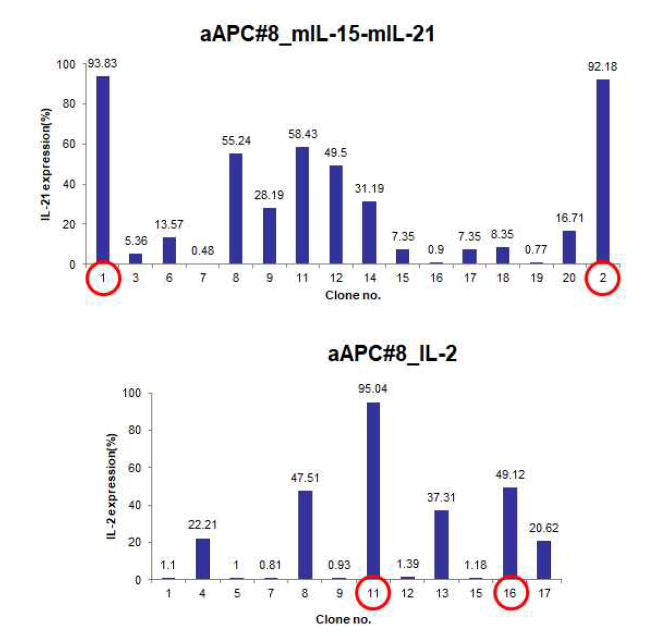 mIL-21(위) 또는 mIL-2(아래) 발현 K562 세포의 최종 선별 (flow cytometry)