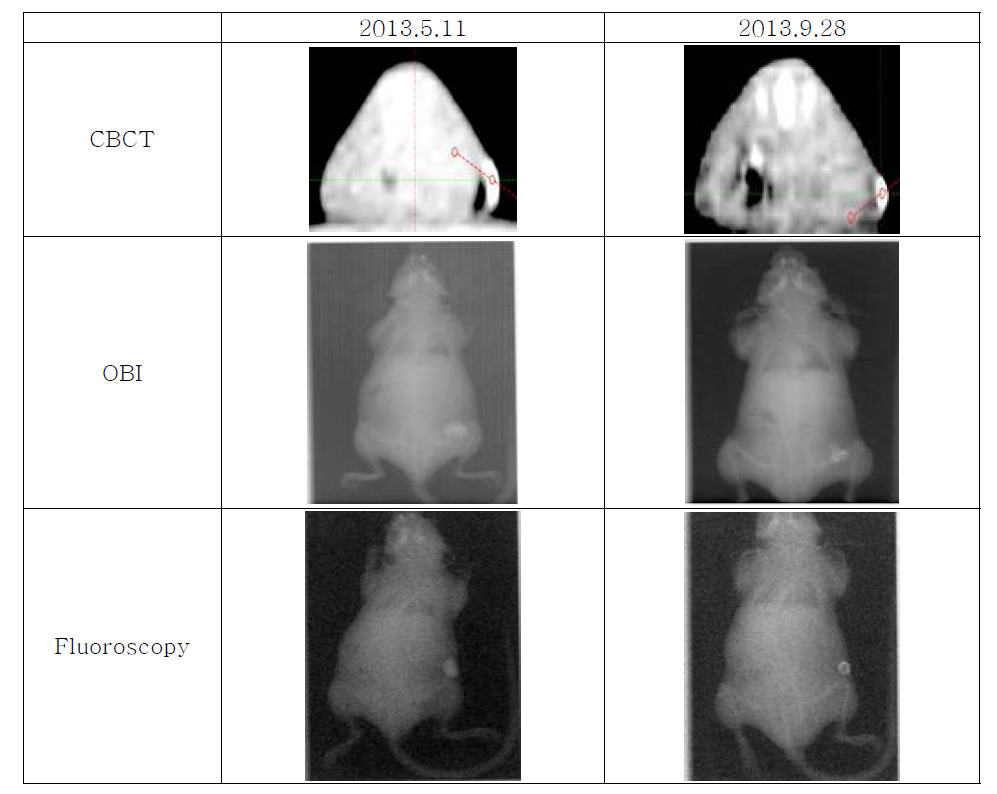 CBCT, OBI, Fluoroscopy에서의 표지자의 시간에 따른 영상평가