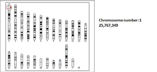 레트로바이러스 integration site의 human genome mapping