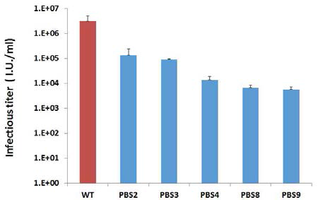 PBS 추가 도입 변종 벡터의 Infectious titer 분석