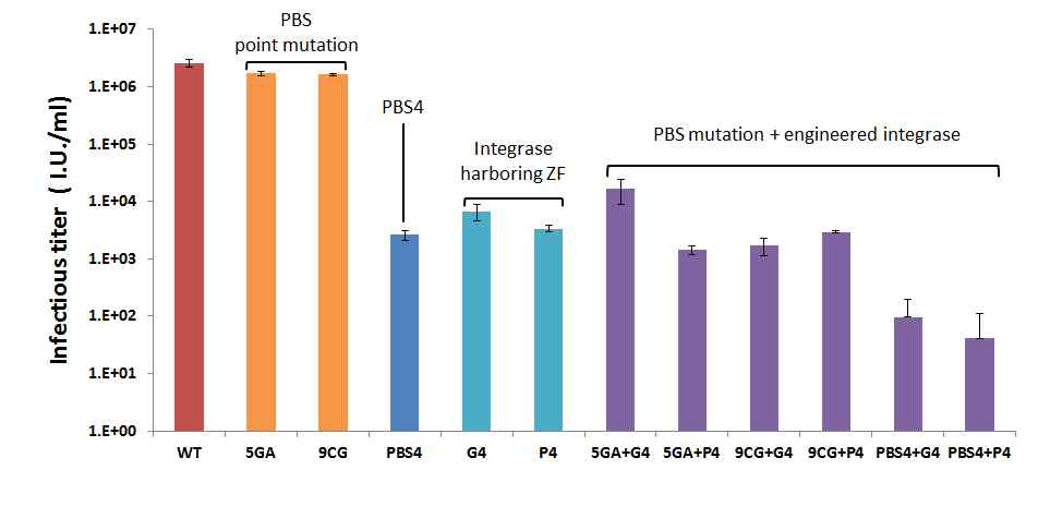 Double mutant 벡터의 Infectious titer 분석