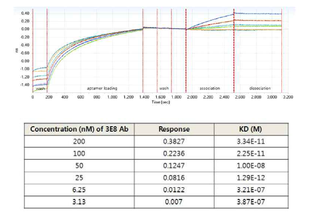 3E8 특이적 DNA aptamer와 3E8 항체간의 affinity 측정 결과(Octec 분석)
