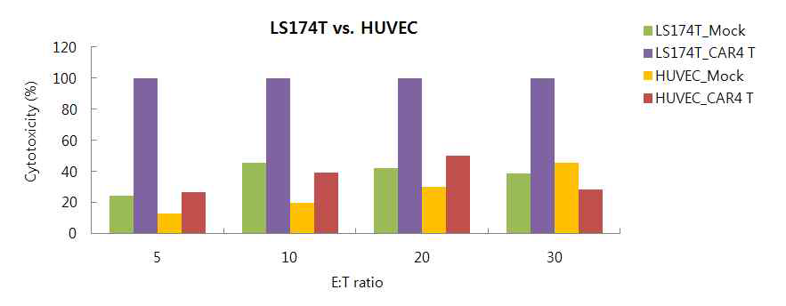 HUVEC 세포와 LS174T 암세포에 대한 T72-CAR-T의 세포살상능 비교(In vitro)