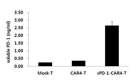 sPD-1-CAR4-T 세포에서의 soluble PD-1의 발현량 확인