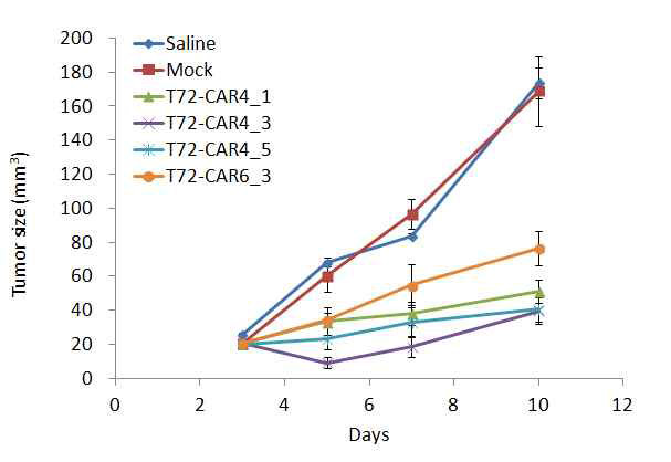 T72-CAR-T의 항암활성능