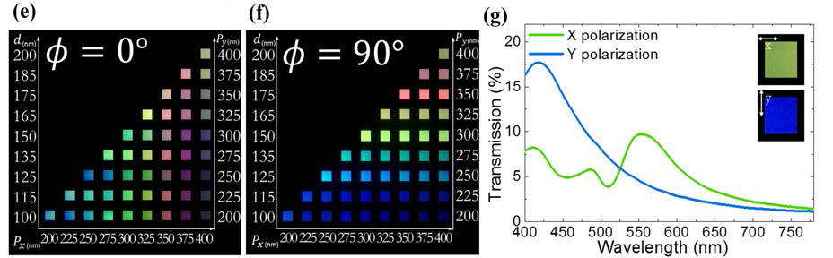 (e-f) 편광자가 각각 0도 및 90도로 맞춰졌을 때의 광학현미경의 투과 사진. 0도 및 90도는 각각 x축 및 y축 방향으로의 편광을 의미하며, 구조적 조건 차에 의해 다른 투과 특성을 보임. (g) 편광에 의해 투과 되는 색 및 spectrum 특성이 변화하는 것을 보여줌