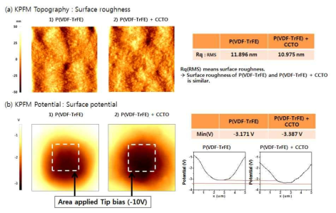 P(VDF-TrFE) 필름 KPFM 측정 및 비교 분석