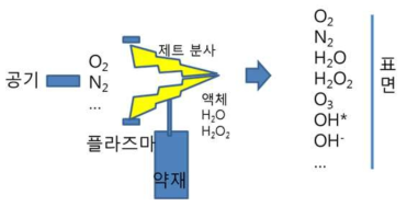 국책 시작품 분사 구조 및 활성화 계통