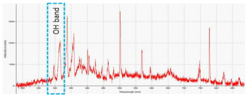 측정 신호에서 관찰되는 OH band