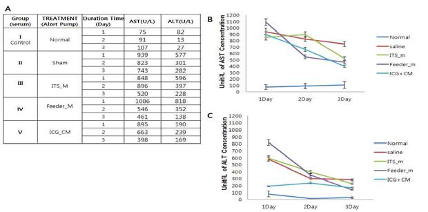 급성 간염 쥐 모델에서 ICGhighCM 주입 후 간기능검사 진행