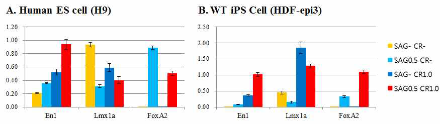 인간 배아줄기세포 (H9)외에 인간 역분화 줄기세포 (HDF-epi3)에서도 중뇌 흑질부 (A9부위) 도파민 세포의 유도분화를 증명하여, 본 분화법이 인간 전분화능 줄기세포에서 일반적으로 적용가능하다는 것을 확인하였음. 분화과정 중에 Wnt와 SHH 신호를 화학작용물질로 조절함으로써 중뇌마커인 EN1, 신경관의 Floor plate마커인 FOXA2, 그리고 도파민 전구세포 마커인 LMX1A가 모두 발현하는 중뇌 도파민 전구세포의 발생을 인간 역분화 줄기세포에서 유도할 수 있음을 확인하였음. CR, CHIR99021
