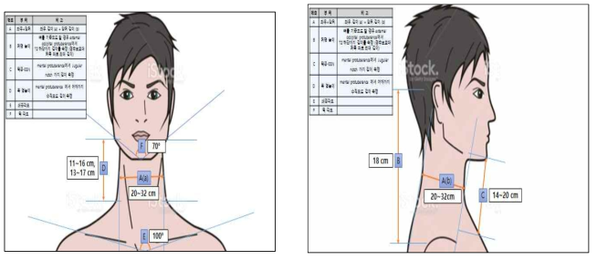 CT 데이터 측정 부위와 조절형 경추보호대 제작 시 이동 범위
