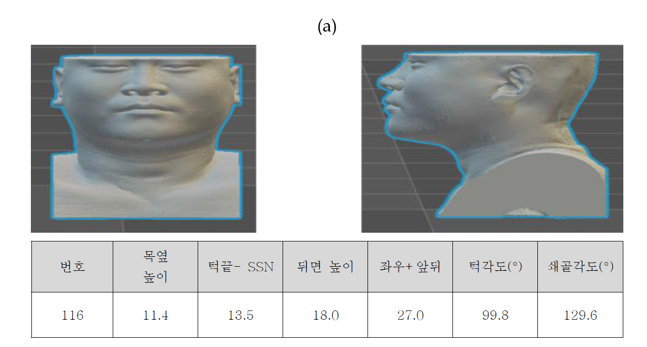 경추보호대 제작을 위한 모델 선정 (a) 표준모델