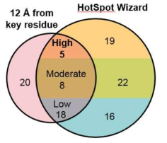Hotspot wizard를 이용하여 mutability score가 높은 교집합에 해당하는 잔기를 선정